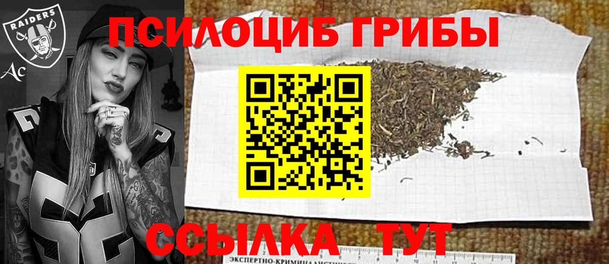 Галлюциногенные грибы Cubensis Корсаков